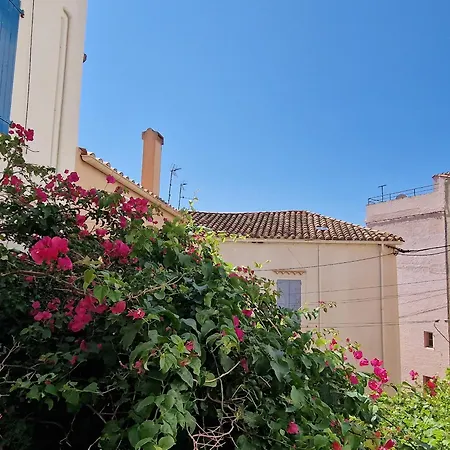 Banyuls-sur-mer, T3, Proche Et Commerces - Fr-1-309-33 Daire