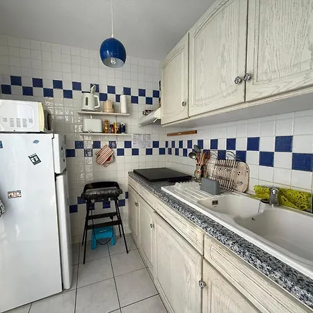 Banyuls-sur-mer, T3, Proche Et Commerces - Fr-1-309-33 Apartment