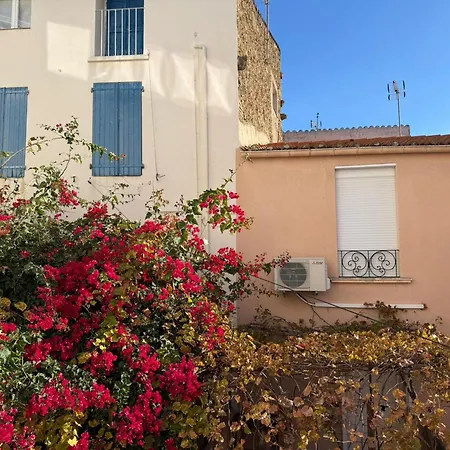 Apartment Banyuls-sur-mer, T3, Proche Et Commerces - Fr-1-309-33 *