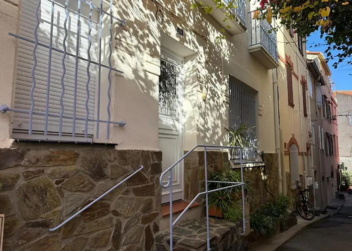 Banyuls-sur-mer, T3, Proche Et Commerces - Fr-1-309-33 Διαμέρισμα